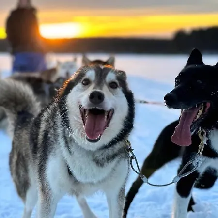 Norwide - Hossan 3* Hossa