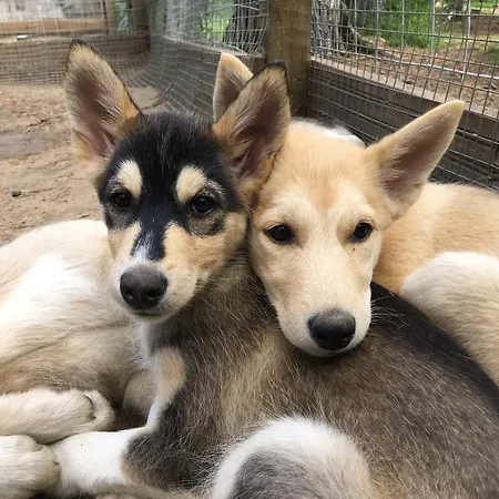 Resort Norwide - Hossan Hossa