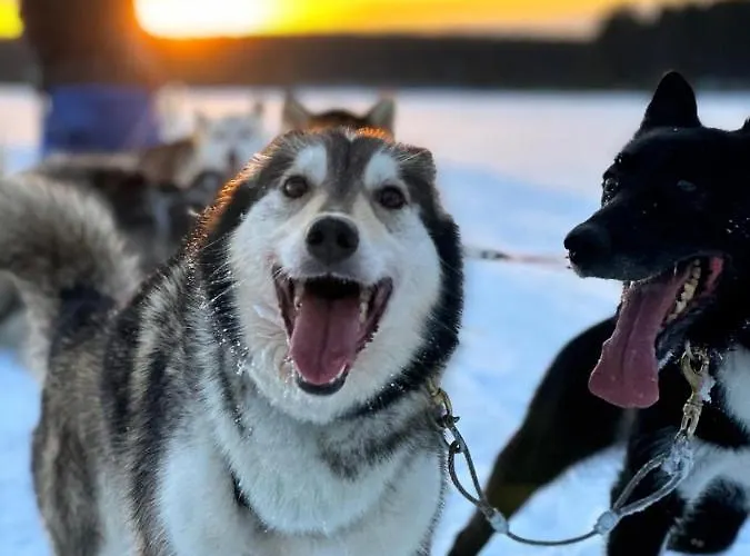 Norwide - Hossan 3* הוסה